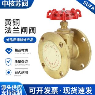 厂家供应中核苏阀闸阀 304不锈钢DN65密封耐磨铸钢黄铜法兰闸阀