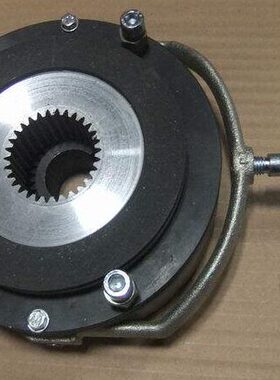双能电磁失电制动器DLTZ3-80   DC170V  75nm广德电器