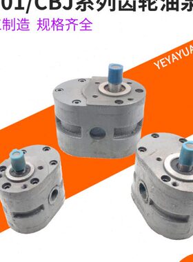 12x 502550齿轮泵25C18253H20Y8x -x11535  xJx70x  B25x05 25 1x