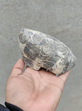 观赏石摆件