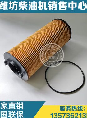 潍柴WP17柴油发动机8M21发电机组机滤芯1006828815机油滤清器滤芯