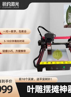 千元小型激光雕刻机叶雕刻机木板皮革雕刻手工diy摆摊