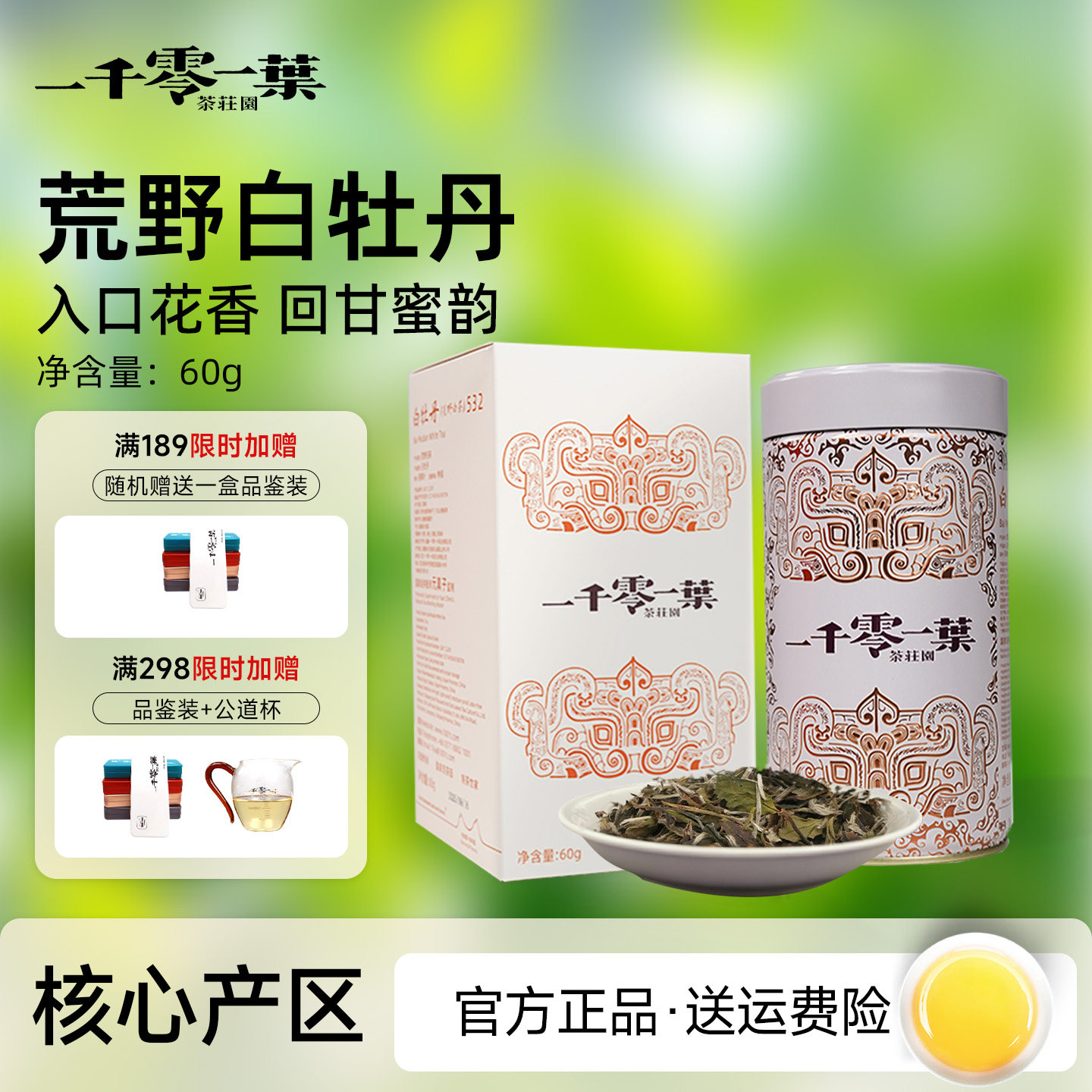 2016年份荒野白牡丹特级福鼎白茶图片