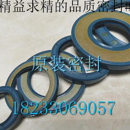 10W*高压德国CF1原装进口5S95LX/70B2AU马达骨架油封13 密封油泵*