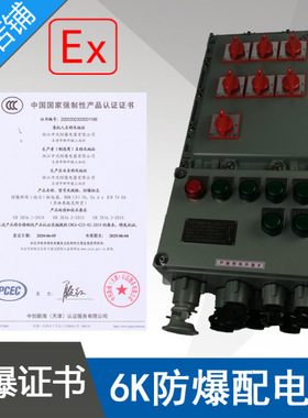 浙江中沈BXMD58防爆开关箱XDMB58-6K防爆照明动力配电箱ExdeIIBT4