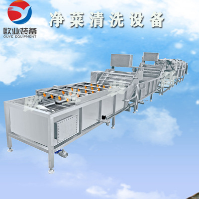 不锈钢净菜清洗机 小白菜净菜清洗设备 雪菜涡流式净菜清洗设备