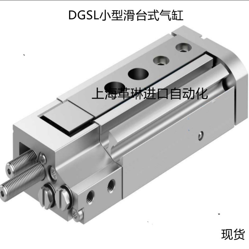 DGSL-6-8-10-12-16-20-25-30-40-50-80-100-150-Y3A-EV3-P1-Y11A