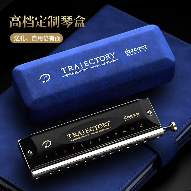 天鹅追梦人半音阶口琴12孔48音C调初学者学生男士专业Z演奏级乐器