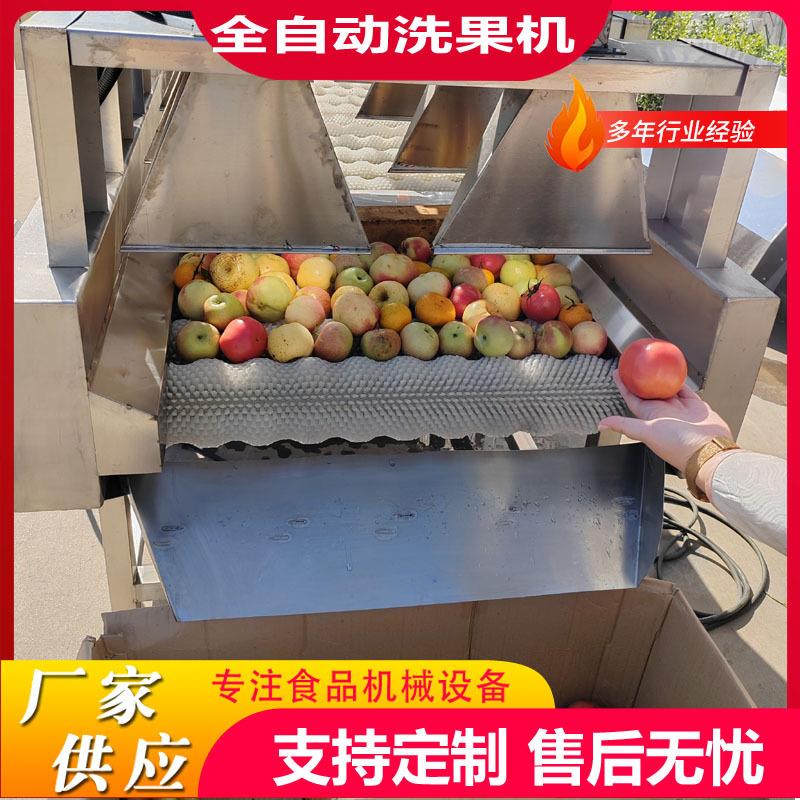 全自动西梅清洗分级机油桃清洗风干打蜡线大型果蔬清洗选果设备