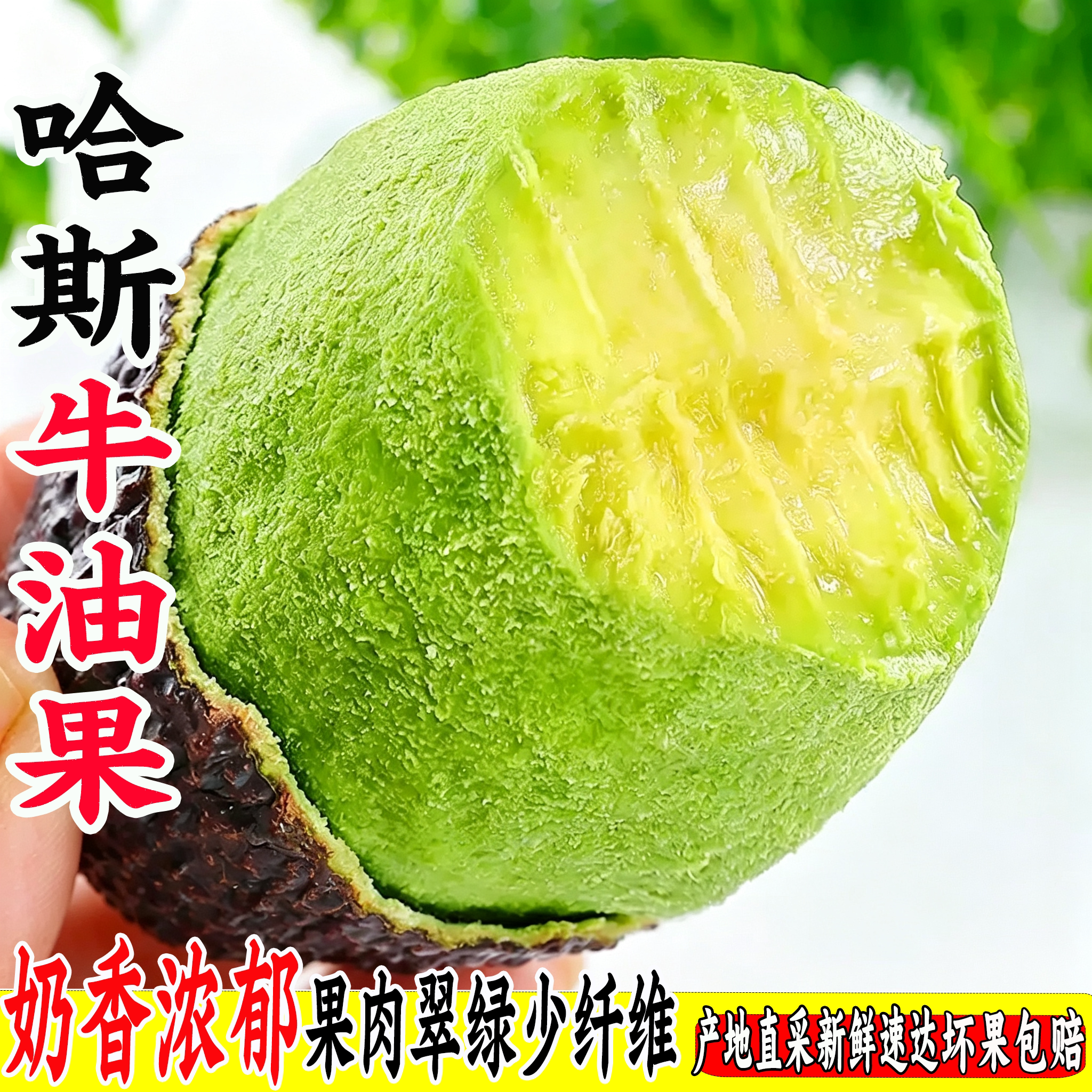 云南哈斯牛油果新鲜现摘大果孕妇宝宝辅食鳄梨当季水果整箱包邮