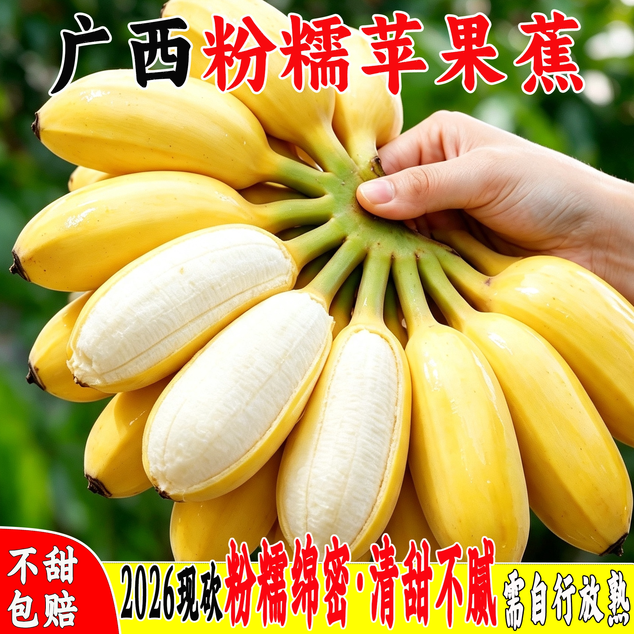 苹果蕉正宗香蕉芭蕉新鲜水果当季整箱自然熟小米蕉芭蕉包邮粉蕉广