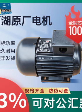 杭州西湖台钻电机YS7114T YS7124T YS8036T 攻丝机电动机三相异步