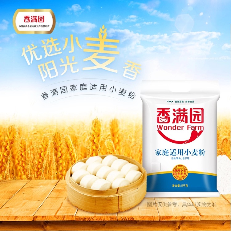 香满园家用面粉小麦粉家庭适用面粉5kg/袋馒头饺子面条面粉十斤装