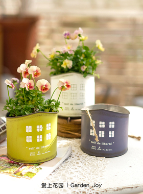 爱上花园园艺杂货 铁艺做旧花盒 铁皮小房子花盆soif de liberte