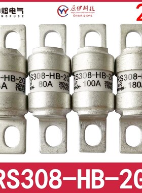 中熔RS308-HB-2G 16A/20/32/35/40A/50/63/80/100A/125A/160/180A