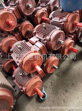 供应Y100L1-80.75kw三相异步电动机 电动马达 电机现货电压380