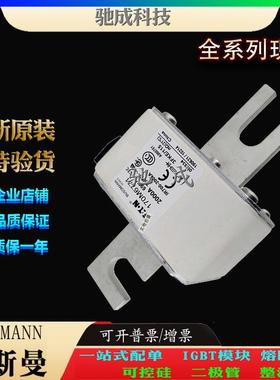 巴斯曼170M6778 170M6779 170M6780 现货直销零售 快速保险丝