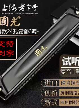 国光24孔复音口琴A/B/C/D/E/F/G调7调套装口琴重音成人专业演奏级
