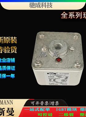巴斯曼170M5411 170M5412 170M5413 现货供应优价供应 原装熔断器