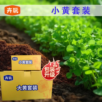 小黄1号2号家庭园艺高效养护工具颗粒肥缓释肥