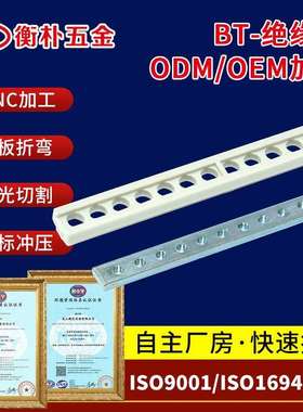 插箱配件 接插件横梁绝缘条21TE 奔泰施洛福rittal elma专用