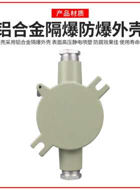 SW-10K照明定时开关路灯防爆照明开关220V/ExdIICT6防爆光控开关