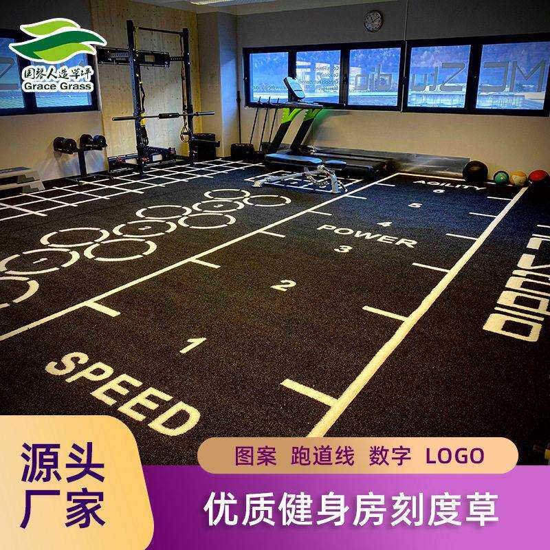 出口品质刻度草坪私教区细曲人造草坪功能图案健身房耐磨环保草坪