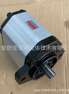 BHP3AOD50H4Z7-R液压齿轮泵