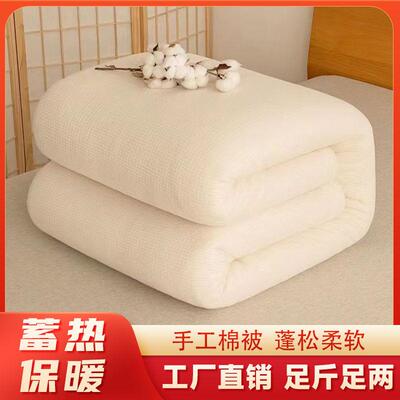 春被子春秋被被子褥子棉胎被芯垫被铺地单双人被子两用直销跨境