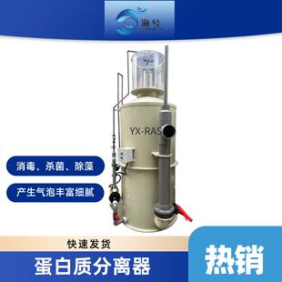 蛋白分离器循环水养殖水体过滤设备工厂循环水虾蟹养殖泡沫分离器