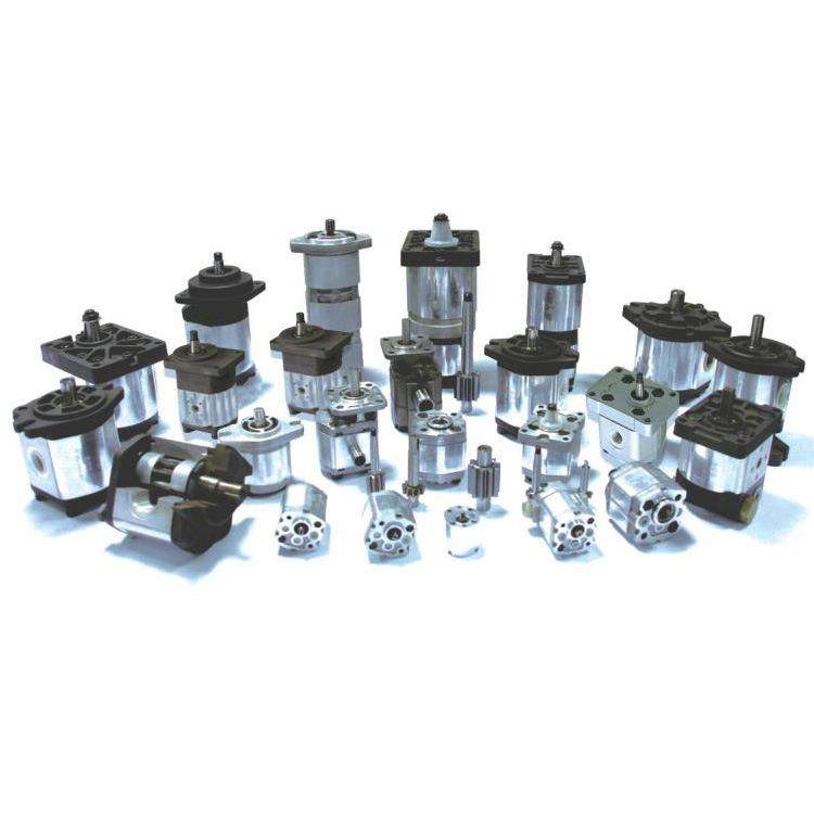 BAP2B3D12T2F1系列齿轮马达