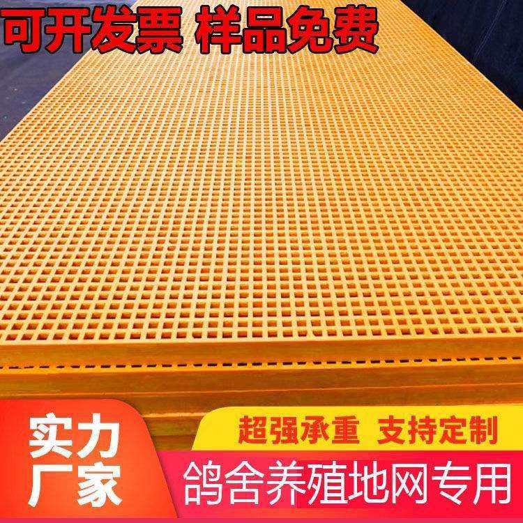 鸽舍地网狗笼底地沟盖板漏粪板养鱼挡鱼板公棚地网玻璃钢格栅养殖,鲜花速递/花卉仿真/绿植园艺,割草机/草坪机,淘宝优惠券,粉丝福利购,淘宝优惠卷