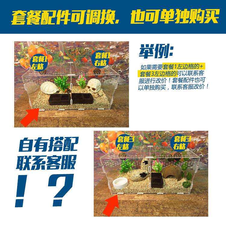 双格亚克力爬虫饲养箱盒守宫火玫瑰蜘蛛蝎子甲虫爬宠盒40*20*20