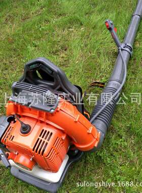 意大利欧玛BV162肩背式吹风机 欧玛汽油背负式灭火机BV162风机