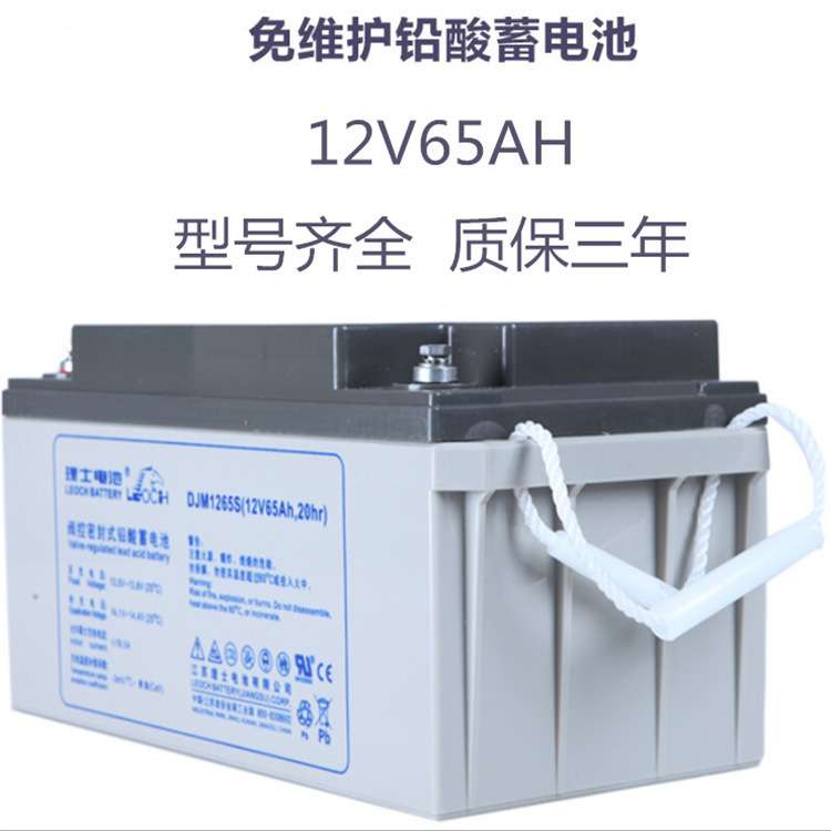 理士蓄电池DJM1265直流屏EPS太阳能ups通信机房12V65AH铅酸S