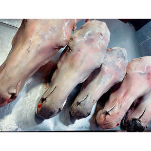 生马头带皮去皮马头整只个带骨头新鲜现宰杀马头肉生鲜驴头宴去毛