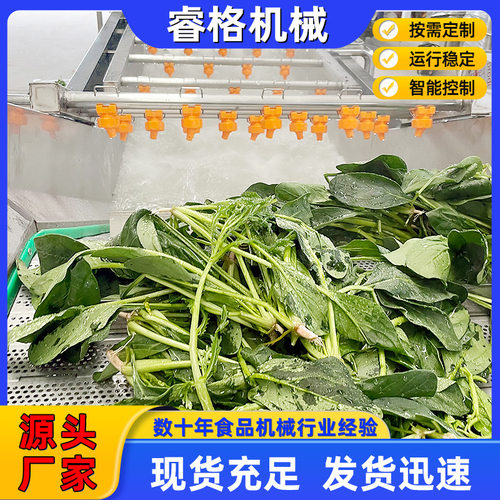 厂家供应全自动果肉清洗生产线 木瓜气泡清洗机 车厘子清洗设备