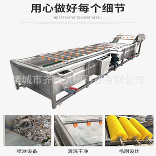 豆橛子提升式气泡清洗机 全自动清洗风干流水线 豇豆喷淋式洗菜机