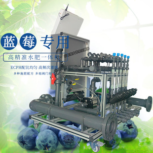 蓝莓水肥一体化智能灌溉系统 栽培管理自动配肥灌溉的滴灌施肥机