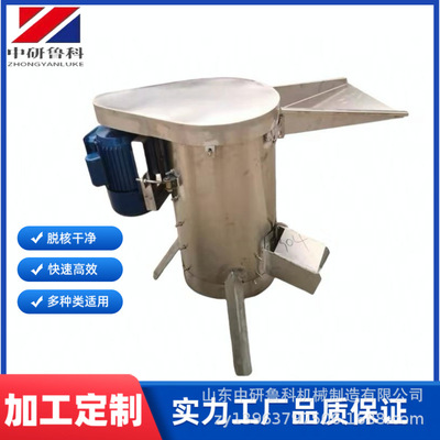 青梅油柑大型去核机 樱桃芒果快速脱核机 不锈钢水果去核榨汁机