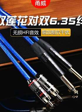 甬威双6.35转双RCA音频线6.5大二芯转莲花二对二调音台功放四头线