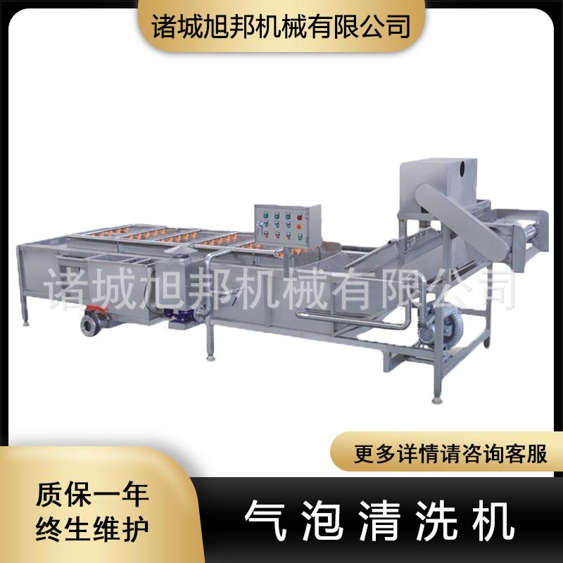 甜椒气泡清洗机 豌豆荚清洗流水线青 橄榄西红柿多功能清洗设备