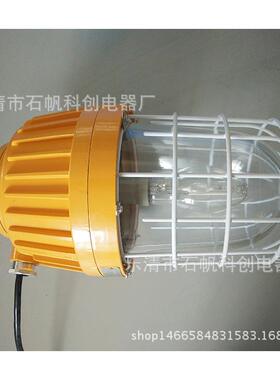 BPC8730内场防爆灯 150W金卤灯 做工精美 BFC6201 HPSV