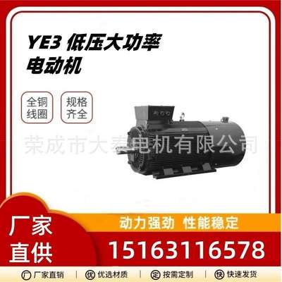 华力众泰大泰出口跨IE2电机YE3--400-6-400kw立式风机水泵电机