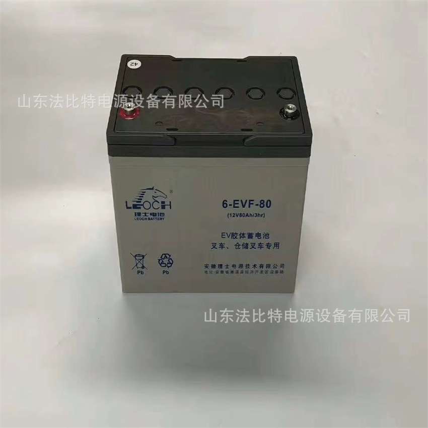 安徽理士动力型蓄电池6-EVF-100B免维护12V100Ah 电动洗地车