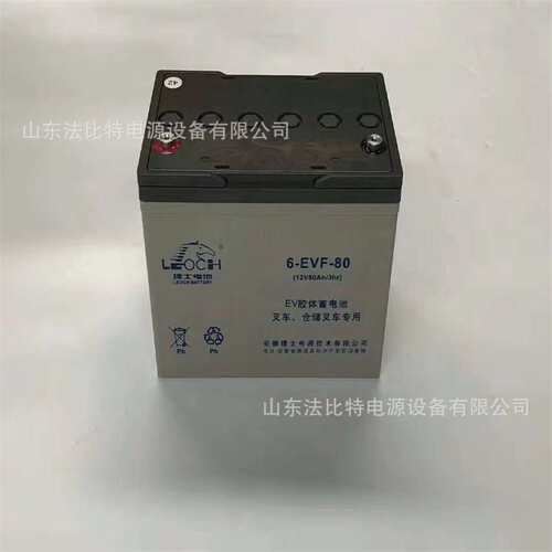 安徽理士动力型蓄电池6-EVF-100B免维护12V100Ah 电动洗地车