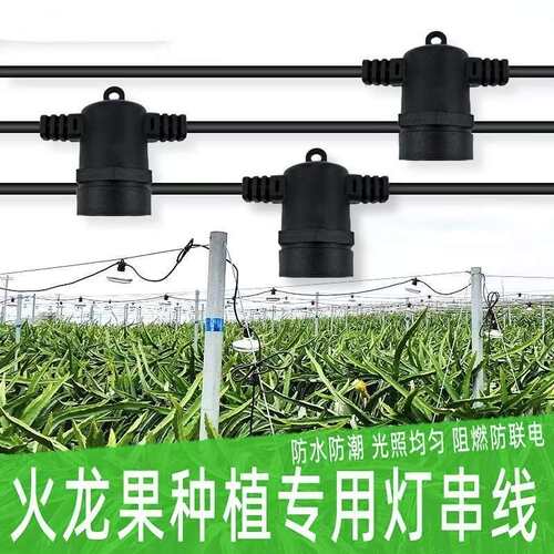 户外灯串植物大棚火龙果补光灯E27灯串线婚礼庭院led种植专用超亮