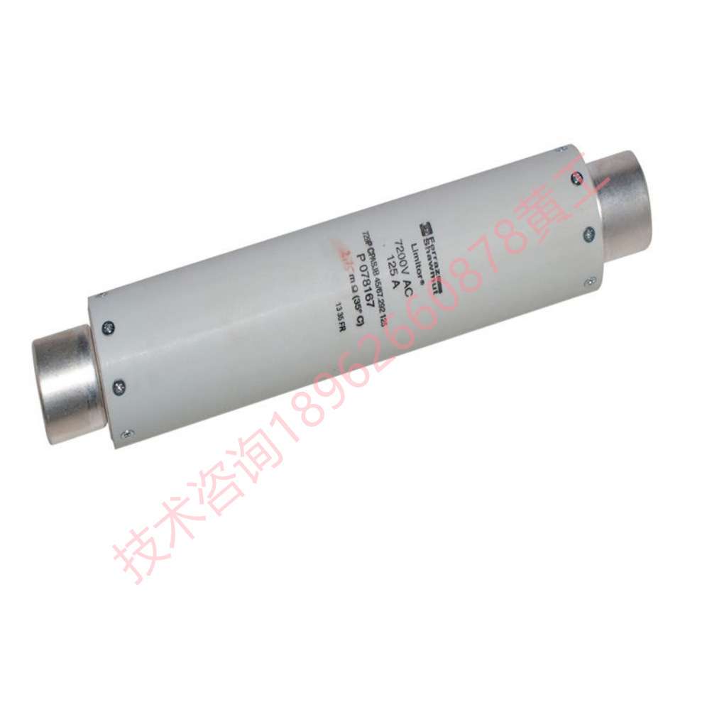A085583 Q085620 R085621 S085622 V085624 罗兰DIN HV备用保险丝
