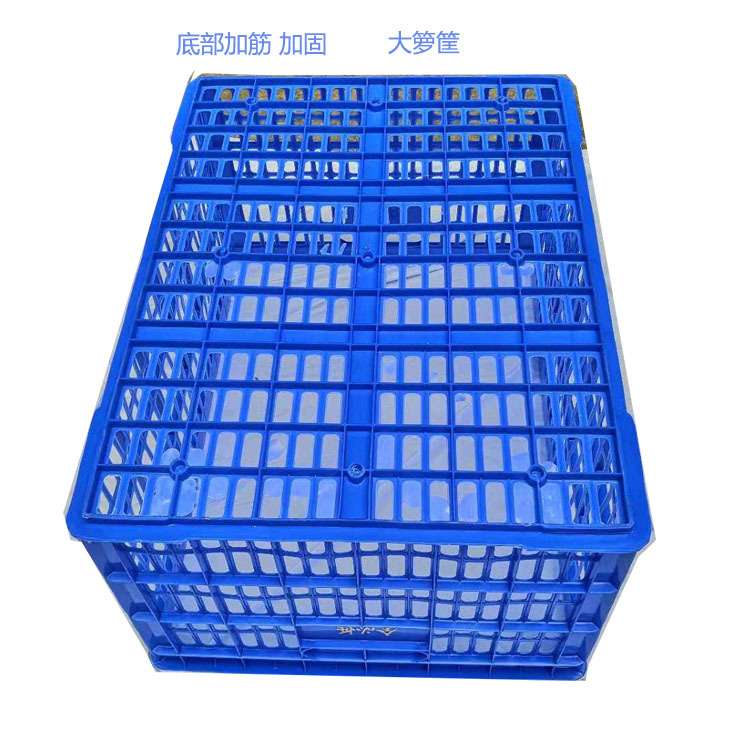 志明直销物流快递专用塑料筐 带铁耳塑料周转筐 大号周转箩