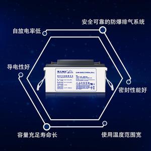 理士蓄电池DGM12100 自动控制系统12V100AH免维护电池